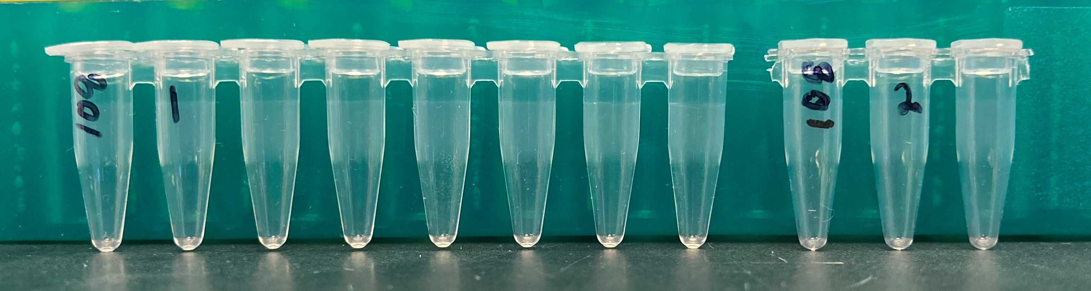 PCR Strip Tube