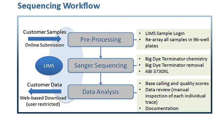 Seq Workflow