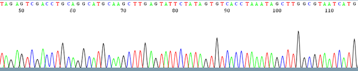 Good Chromatogram