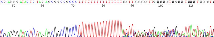 Mononucleotides1