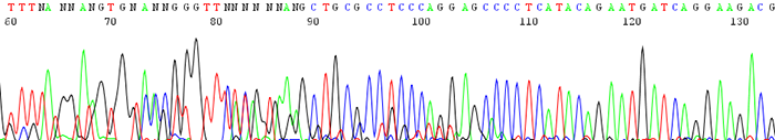 Poor Beginning Sequence