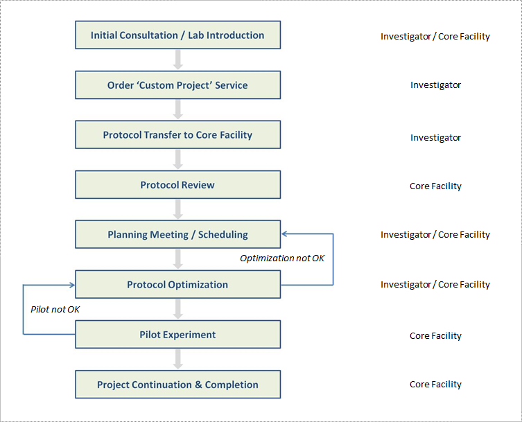 Custom Automation Life Cycle